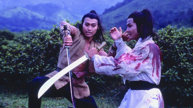 nan kung fu movie DVD Shaw Brothers martial arts film Hong Kong cinema