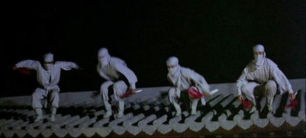 nan kung fu movie DVD Shaw Brothers martial arts film Hong Kong cinema