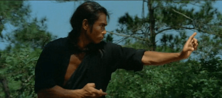 nan kung fu movie DVD Shaw Brothers martial arts film Hong Kong cinema