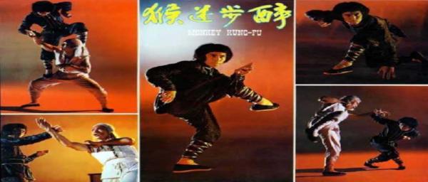 nan kung fu movie DVD Shaw Brothers martial arts film Hong Kong cinema