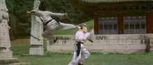 "Secret Rivals" a.k.a. (Huo, le roi du kung fu) (1976)