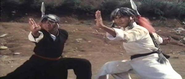 nan kung fu movie DVD Shaw Brothers martial arts film Hong Kong cinema