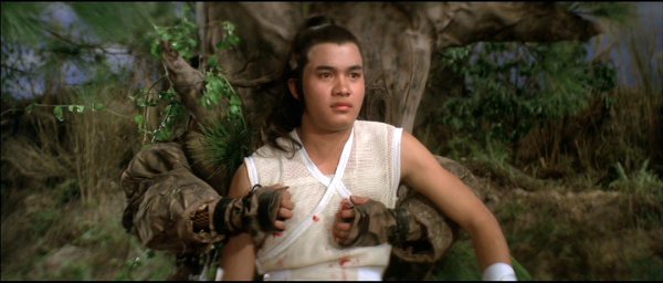 nan kung fu movie DVD Shaw Brothers martial arts film Hong Kong cinema