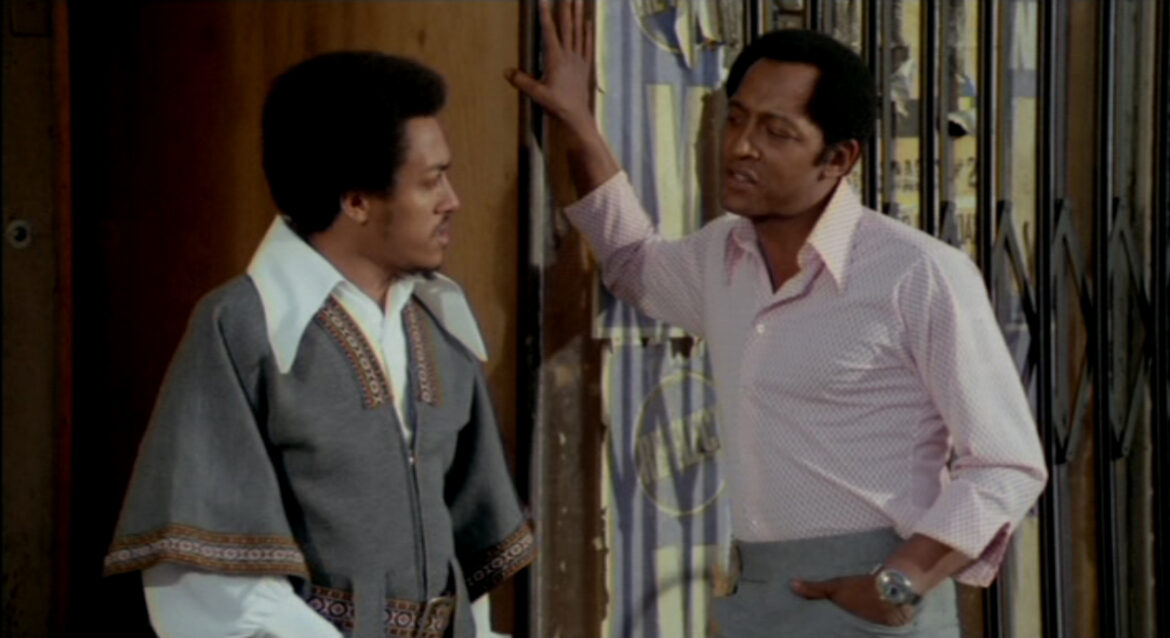 nan kung fu movie DVD Shaw Brothers martial arts film Hong Kong cinema