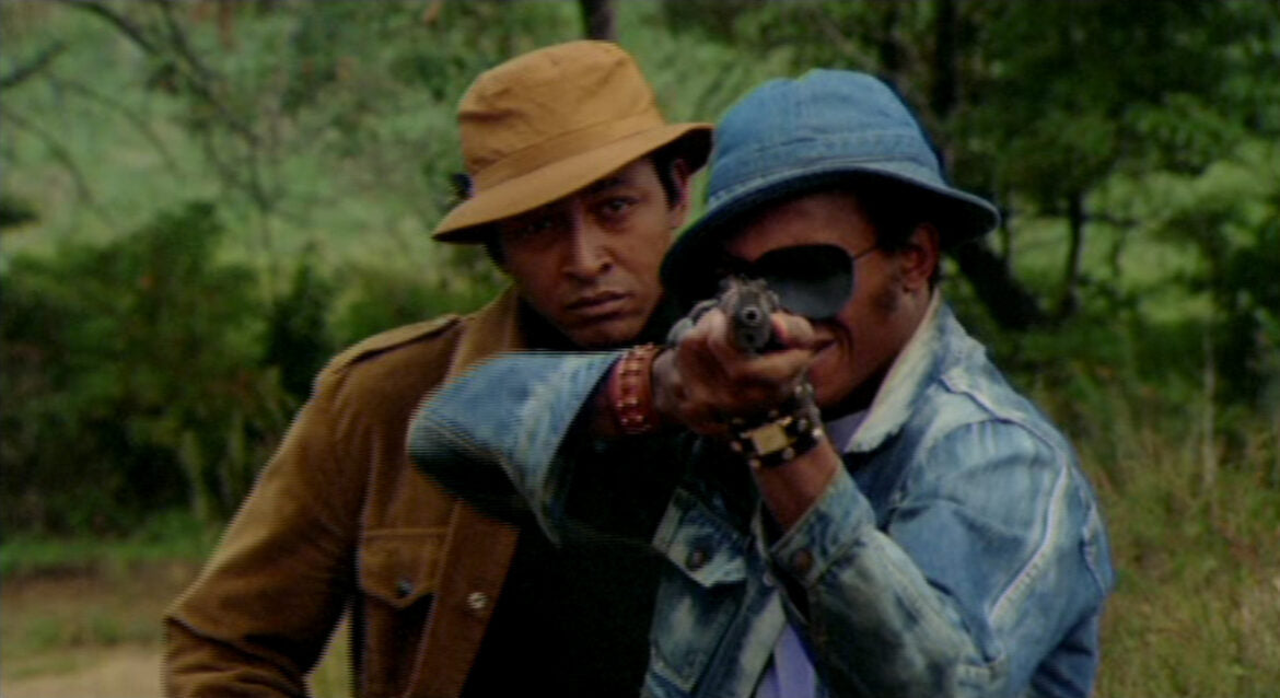 nan kung fu movie DVD Shaw Brothers martial arts film Hong Kong cinema