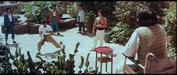 nan kung fu movie DVD Shaw Brothers martial arts film Hong Kong cinema