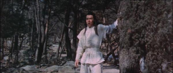 nan kung fu movie DVD Shaw Brothers martial arts film Hong Kong cinema