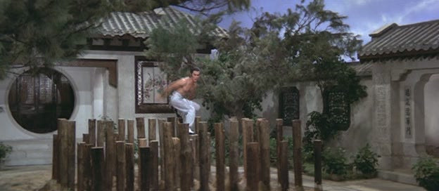 nan kung fu movie DVD Shaw Brothers martial arts film Hong Kong cinema