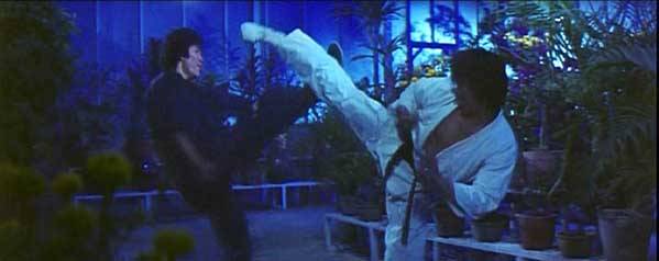 nan kung fu movie DVD Shaw Brothers martial arts film Hong Kong cinema