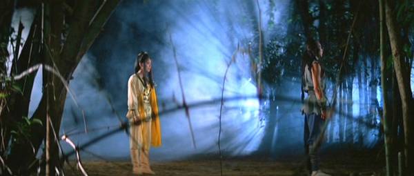 nan kung fu movie DVD Shaw Brothers martial arts film Hong Kong cinema