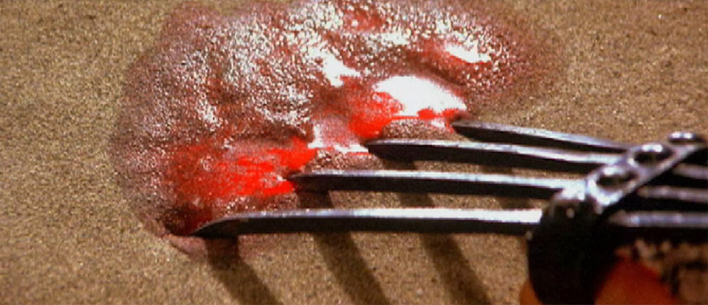 nan kung fu movie DVD Shaw Brothers martial arts film Hong Kong cinema