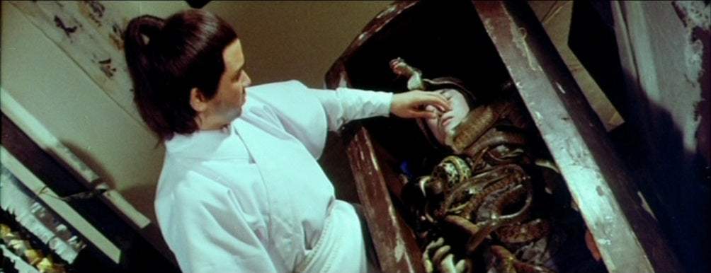 nan kung fu movie DVD Shaw Brothers martial arts film Hong Kong cinema