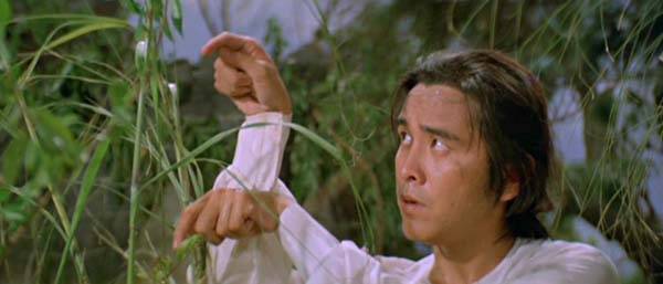 nan kung fu movie DVD Shaw Brothers martial arts film Hong Kong cinema