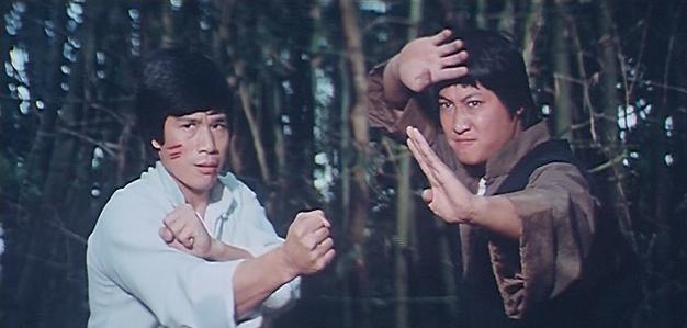 nan kung fu movie DVD Shaw Brothers martial arts film Hong Kong cinema