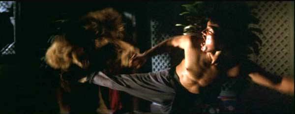 nan kung fu movie DVD Shaw Brothers martial arts film Hong Kong cinema