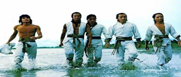 nan kung fu movie DVD Shaw Brothers martial arts film Hong Kong cinema