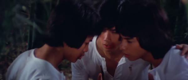 nan kung fu movie DVD Shaw Brothers martial arts film Hong Kong cinema