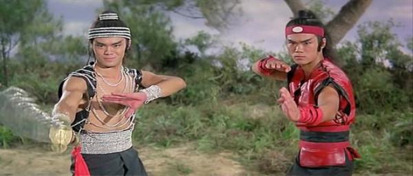 nan kung fu movie DVD Shaw Brothers martial arts film Hong Kong cinema