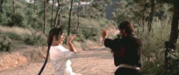 nan kung fu movie DVD Shaw Brothers martial arts film Hong Kong cinema