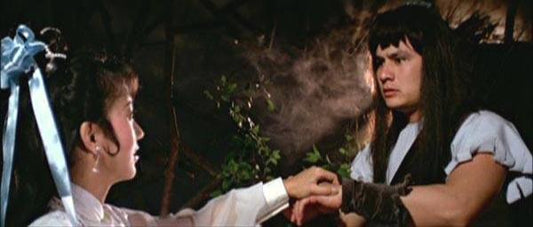 nan kung fu movie DVD Shaw Brothers martial arts film Hong Kong cinema