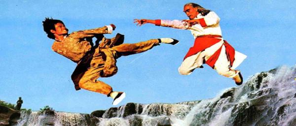 nan kung fu movie DVD Shaw Brothers martial arts film Hong Kong cinema