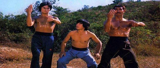 nan kung fu movie DVD Shaw Brothers martial arts film Hong Kong cinema