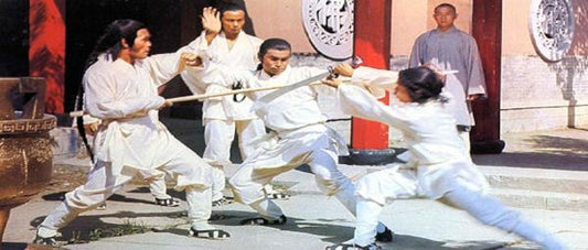 nan kung fu movie DVD Shaw Brothers martial arts film Hong Kong cinema