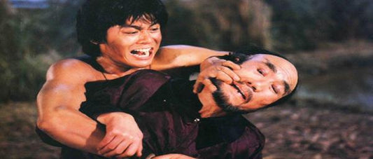 nan kung fu movie DVD Shaw Brothers martial arts film Hong Kong cinema