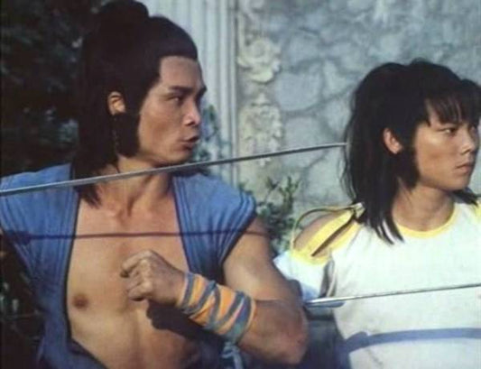 nan kung fu movie DVD Shaw Brothers martial arts film Hong Kong cinema