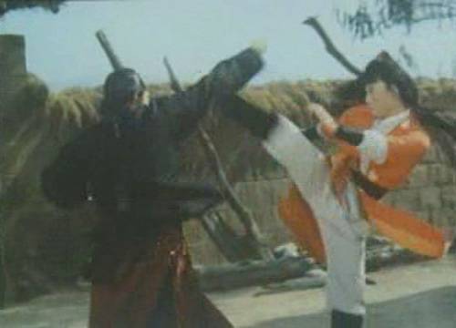 nan kung fu movie DVD Shaw Brothers martial arts film Hong Kong cinema