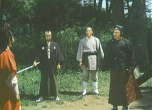 nan kung fu movie DVD Shaw Brothers martial arts film Hong Kong cinema