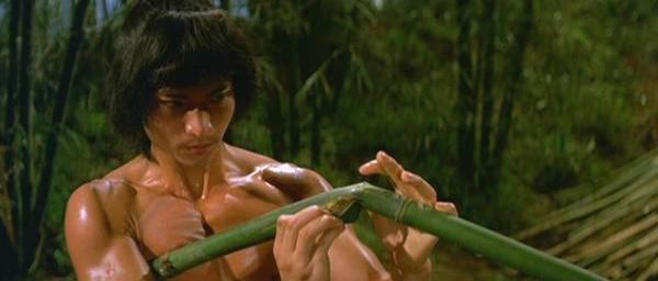 nan kung fu movie DVD Shaw Brothers martial arts film Hong Kong cinema