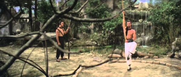 nan kung fu movie DVD Shaw Brothers martial arts film Hong Kong cinema