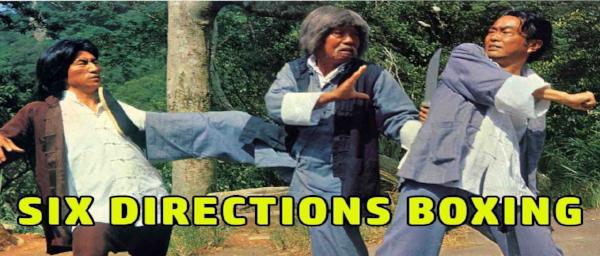 nan kung fu movie DVD Shaw Brothers martial arts film Hong Kong cinema