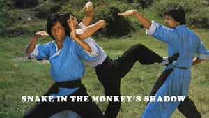 "Snake in the Monkey's Shadow" a.k.a. (Hou hsing kou shou) (1979)