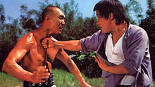 "My Kung Fu Twelve Kicks" a.k.a. Incredible Master Beggars (1979)