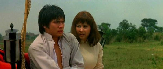 nan kung fu movie DVD Shaw Brothers martial arts film Hong Kong cinema