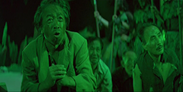 nan kung fu movie DVD Shaw Brothers martial arts film Hong Kong cinema