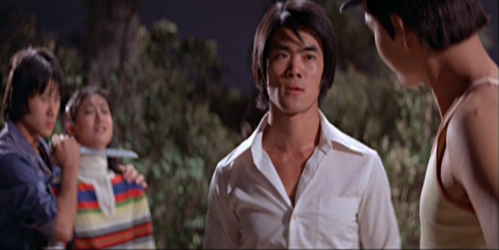 nan kung fu movie DVD Shaw Brothers martial arts film Hong Kong cinema