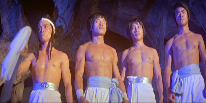 nan kung fu movie DVD Shaw Brothers martial arts film Hong Kong cinema