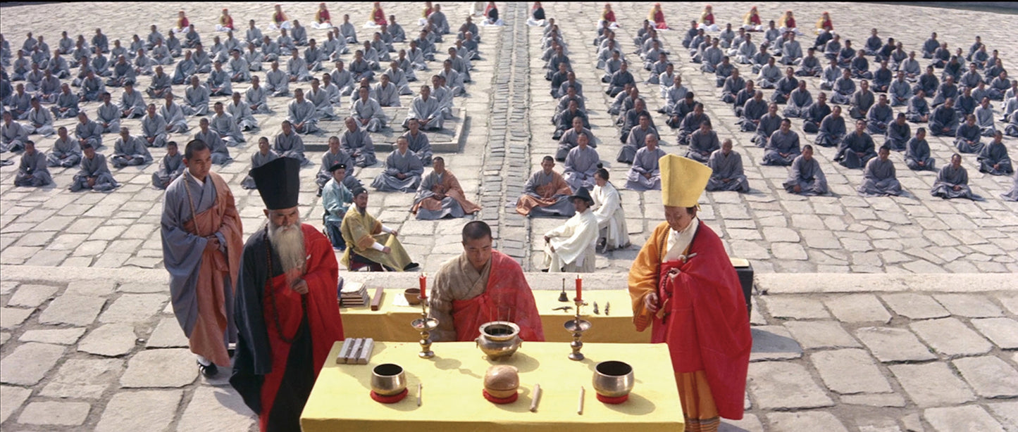 nan kung fu movie DVD Shaw Brothers martial arts film Hong Kong cinema