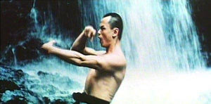 "The Shaolin Drunken Monk" a.k.a. (36 Chambers of Shaolin: The Final Confrontation) (1982)