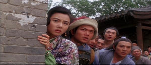 "Tai Chi Master" a.k.a. (Twin Warriors) (1993)