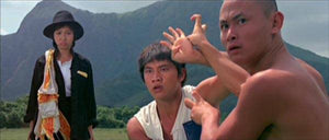 "The Shadow Boxing" a.k.a. (Mao Shan Jiang Shi Quan)  (1979)