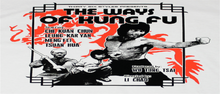 "Ways Of Kung Fu" a.k.a. (Juan xing quan fa yu fa) (1978)