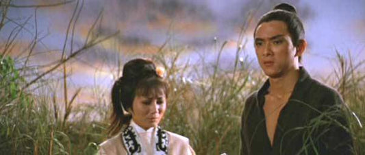 nan kung fu movie DVD Shaw Brothers martial arts film Hong Kong cinema