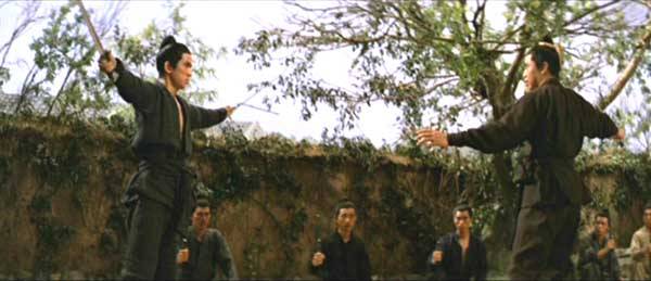 nan kung fu movie DVD Shaw Brothers martial arts film Hong Kong cinema