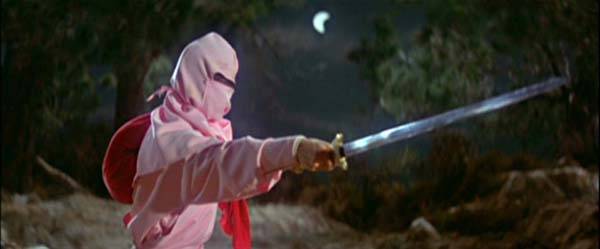 nan kung fu movie DVD Shaw Brothers martial arts film Hong Kong cinema