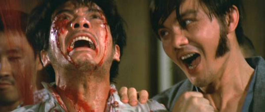 nan kung fu movie DVD Shaw Brothers martial arts film Hong Kong cinema