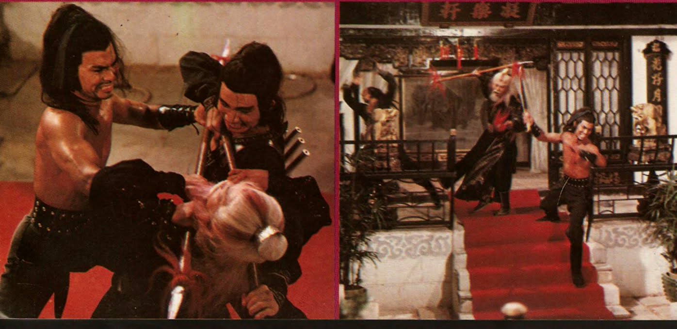 nan kung fu movie DVD Shaw Brothers martial arts film Hong Kong cinema